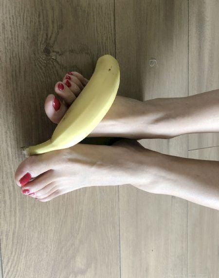 耶里肖全集免费观看