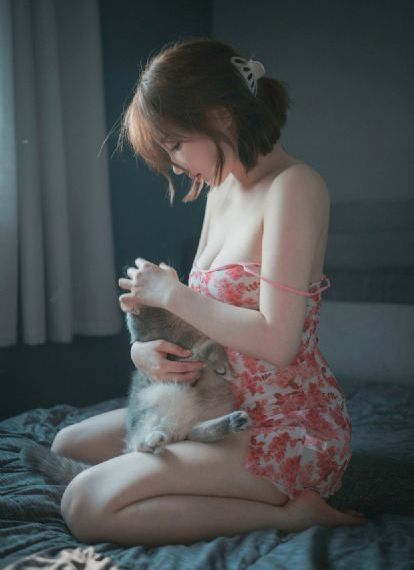 璩美凤dvd在线播放
