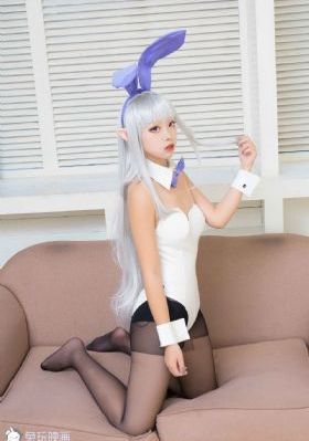 完美秘书