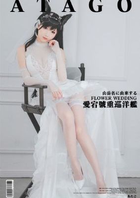 地味变免费观看